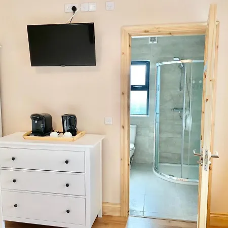 Feeney's Audubon Galway