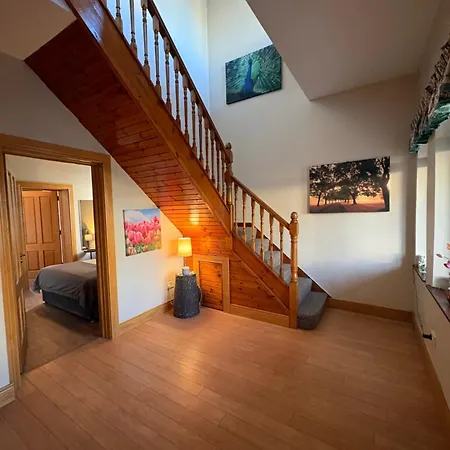 Feeney's Audubon 4* Galway