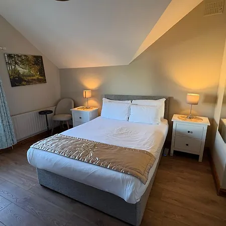 Bed & Breakfast Feeney's Audubon 3*