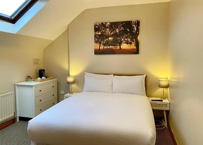 Bed & Breakfast Feeney's Audubon 3*