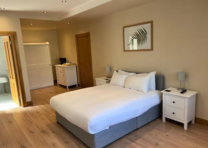 Bed & Breakfast Feeney's Audubon Galway