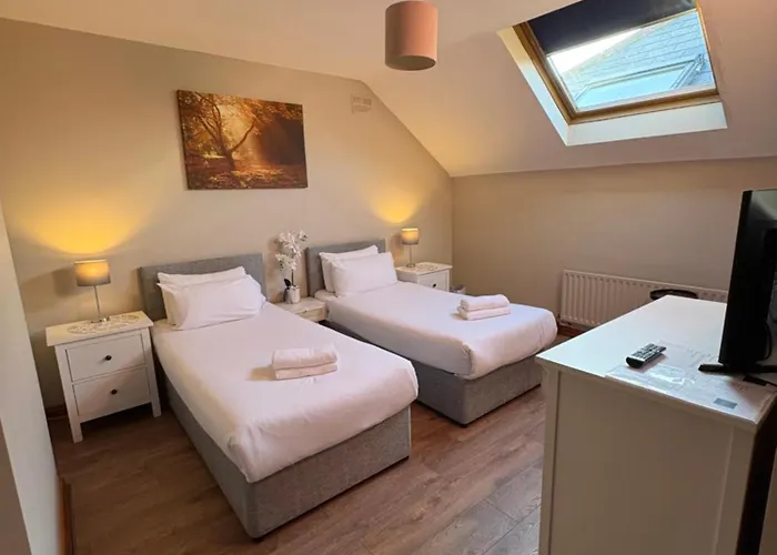 Feeney's Audubon Galway