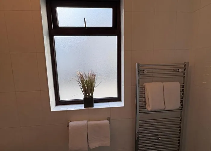 Feeney's Audubon 3* Galway