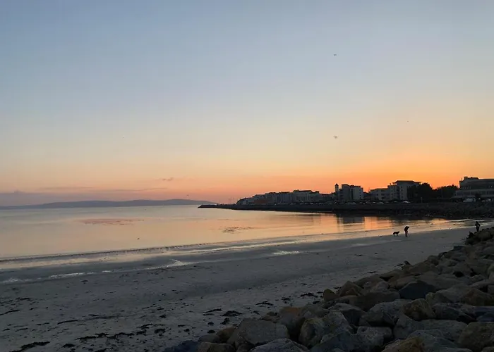 Feeney's Audubon Couette-café