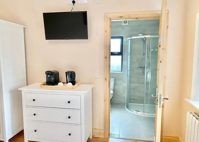 Feeney's Audubon Galway