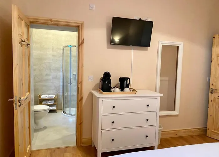 Feeney's Audubon Galway